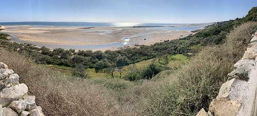 64: IMG_0276<br>  2019-01-10