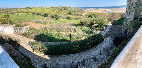 65: IMG_0277<br>  2019-01-10