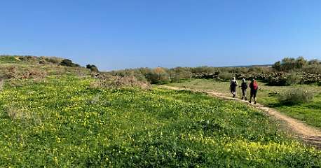 66: IMG_0279<br>  2019-01-10