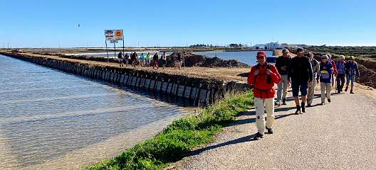 67: IMG_0282<br>  2019-01-11