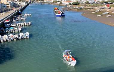 68: IMG_0287<br>  2019-01-11