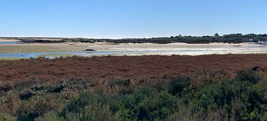 72: IMG_0294<br>  2019-01-11