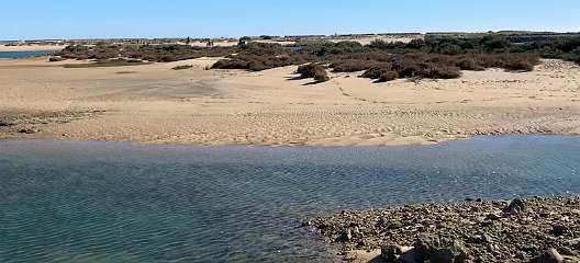 73: IMG_0295<br>  2019-01-11