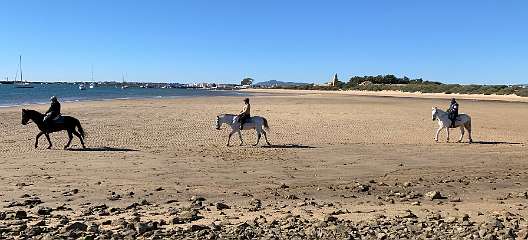 74: IMG_0297<br>  2019-01-11