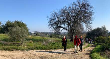 77: IMG_0317<br>  2019-01-16