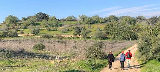 78: IMG_0318<br>  2019-01-16