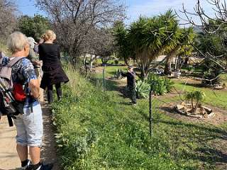 79: IMG_0320<br>  2019-01-16