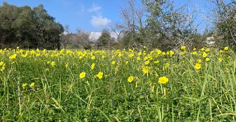 80: IMG_0321<br>  2019-01-16