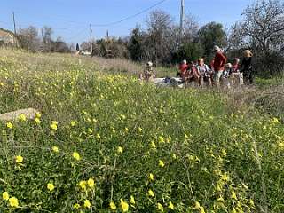 81: IMG_0324<br>  2019-01-16