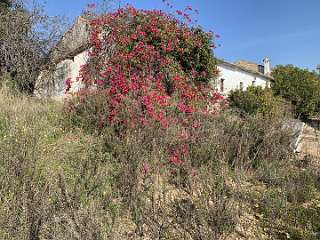 82: IMG_0325<br>  2019-01-16