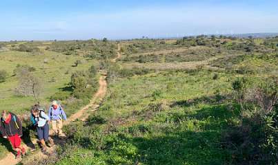 84: IMG_0331<br>  2019-01-18