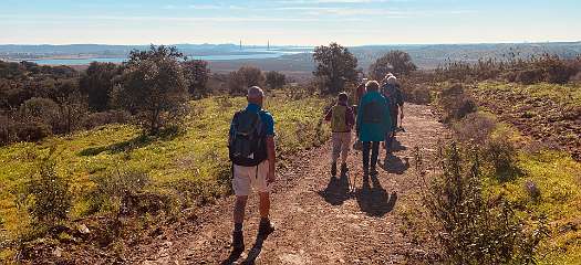 85: IMG_0333<br>  2019-01-18