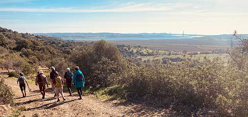 86: IMG_0334<br>  2019-01-18