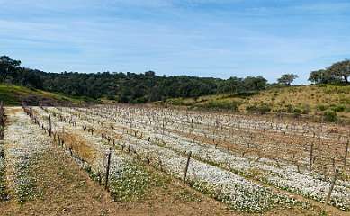 87: IMG_0335<br>  2019-01-18