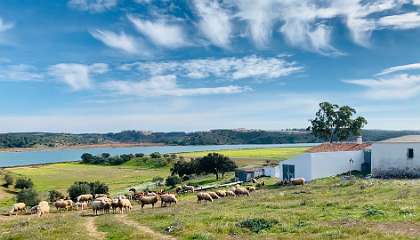 88: IMG_0337<br>  2019-01-18