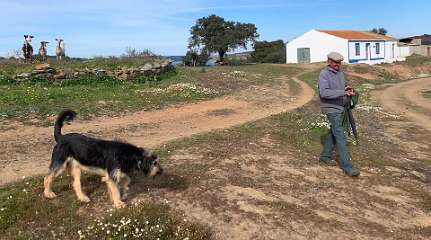 89: IMG_0339<br>  2019-01-18