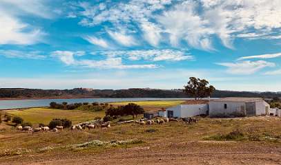 91: IMG_0342<br>  2019-01-18