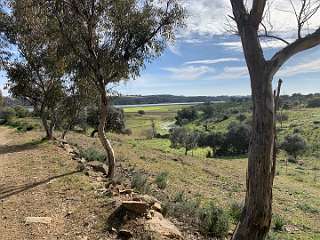 92: IMG_0343<br>  2019-01-18