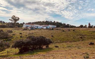 93: IMG_0344<br>  2019-01-18