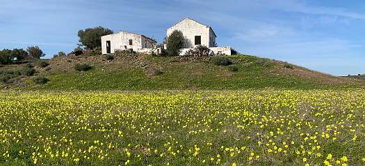 95: IMG_0346<br>  2019-01-18