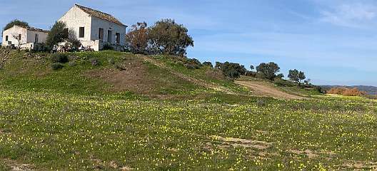 96: IMG_0349<br>  2019-01-18