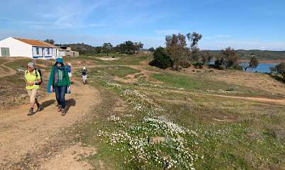 97: IMG_0351<br>  2019-01-18