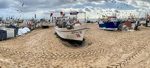 99: IMG_0354<br>  2019-01-19