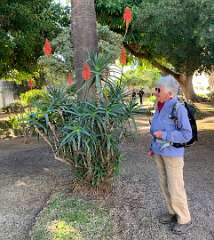 101: IMG_0357<br>  2019-01-21