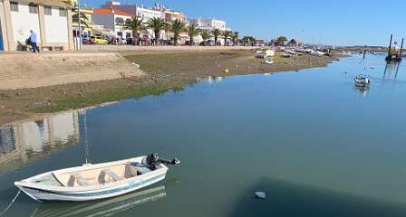 102: IMG_0360<br>  2019-01-21