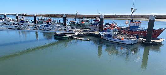 103: IMG_0361<br>  2019-01-21