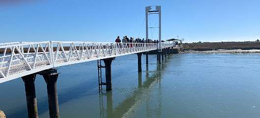 104: IMG_0363<br>  2019-01-21