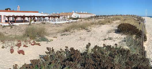 107: IMG_0367<br>  2019-01-21