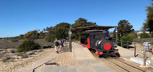 108: IMG_0369<br>  2019-01-21