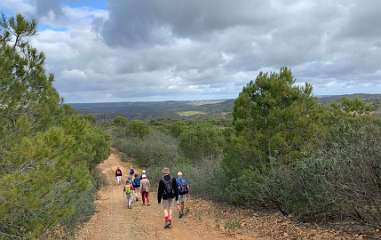 111: IMG_0374<br>  2019-01-22