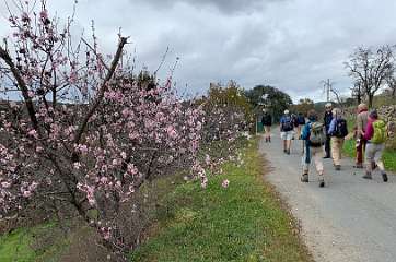 112: IMG_0378<br>  2019-01-22