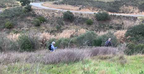 120: IMG_0388<br>  2019-01-22