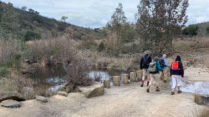 121: IMG_0390<br>  2019-01-22