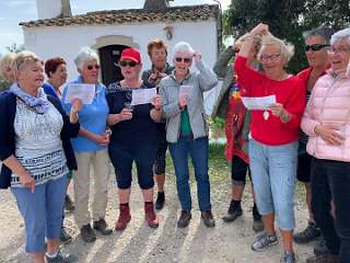 137: IMG_0420<br>  2019-01-23