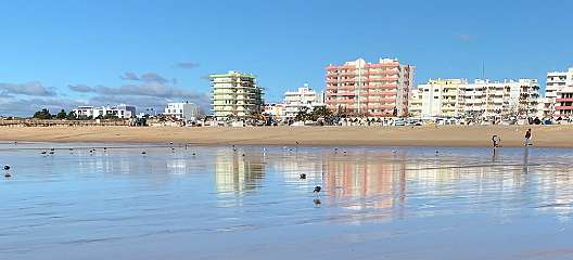 153: IMG_0455<br>  2019-01-24