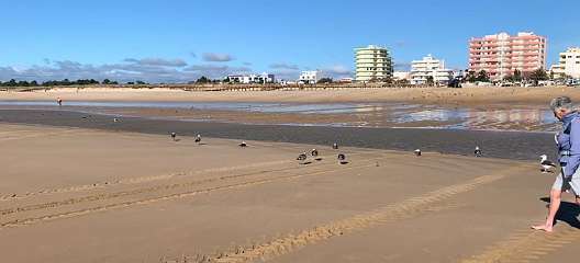 154: IMG_0460<br>  2019-01-24