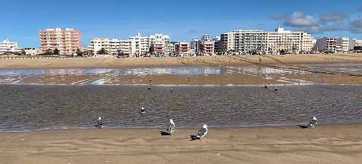 155: IMG_0461<br>  2019-01-24