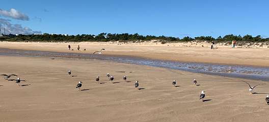 156: IMG_0463<br>  2019-01-24