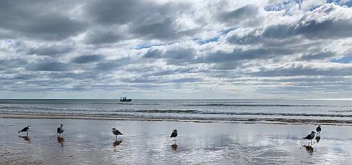 157: IMG_0467<br>  2019-01-24