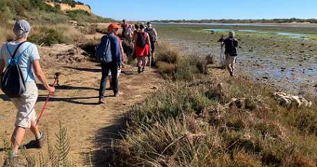 158: IMG_0468<br>  2019-01-25