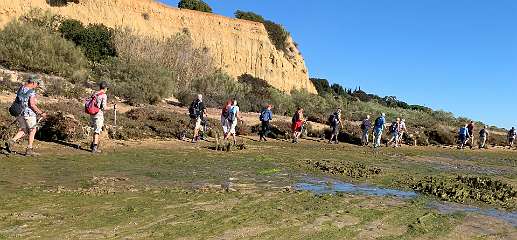 159: IMG_0469<br>  2019-01-25