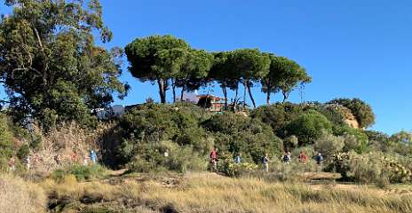 160: IMG_0471<br>  2019-01-25