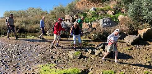 161: IMG_0473<br>  2019-01-25