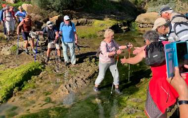 162: IMG_0475<br>  2019-01-25