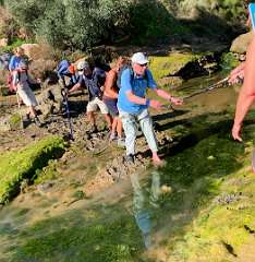 163: IMG_0477<br>  2019-01-25