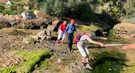 164: IMG_0478<br>  2019-01-25